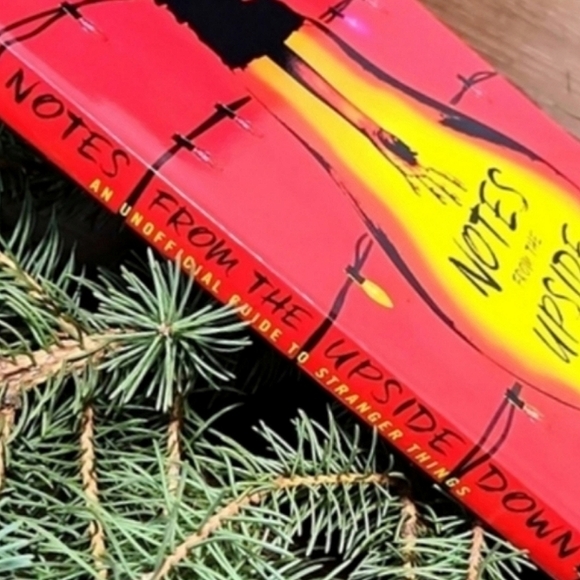 🆓️ W/ $50 purchase "Notes from the Upside Down" Book ~ GUC - Picture 4 of 5